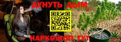 сатива Можга