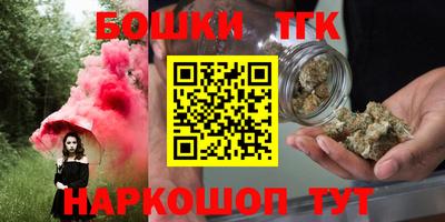 сатива Можга