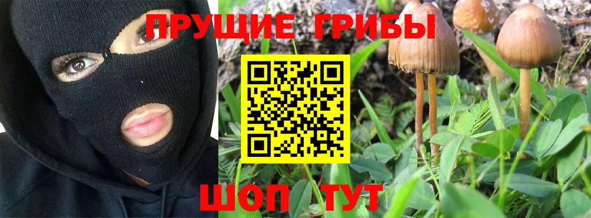 хочу наркоту  Псилоцибиновые грибы ЛСД  Вход с VPN  Чебоксары  Галлюциногенные грибы Psilocybine cubensis 