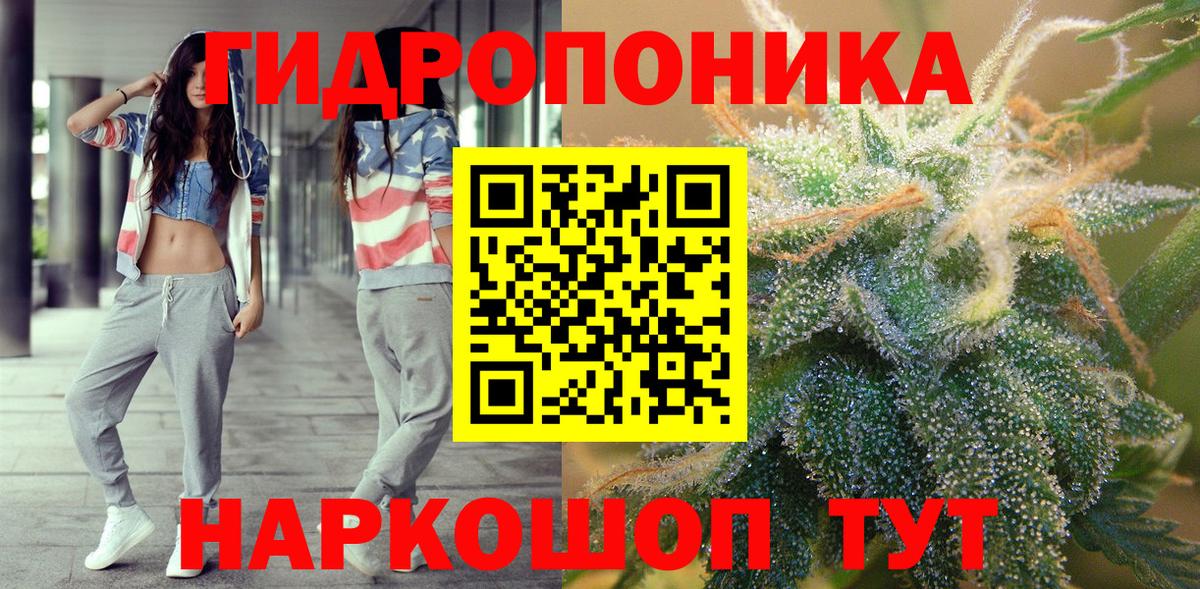 Бошки Шишки MAZAR Чебоксары